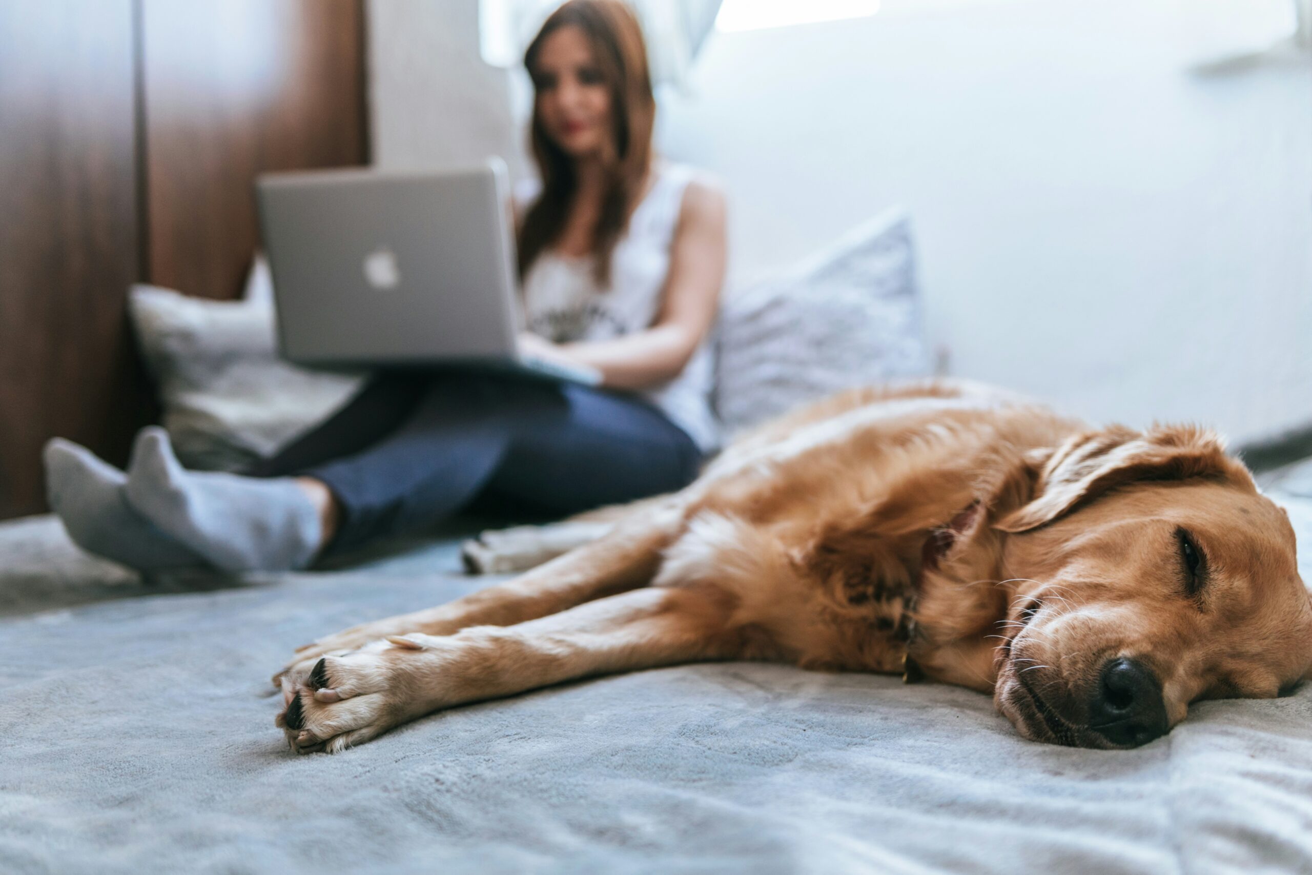 online therapy girl sitting with dog